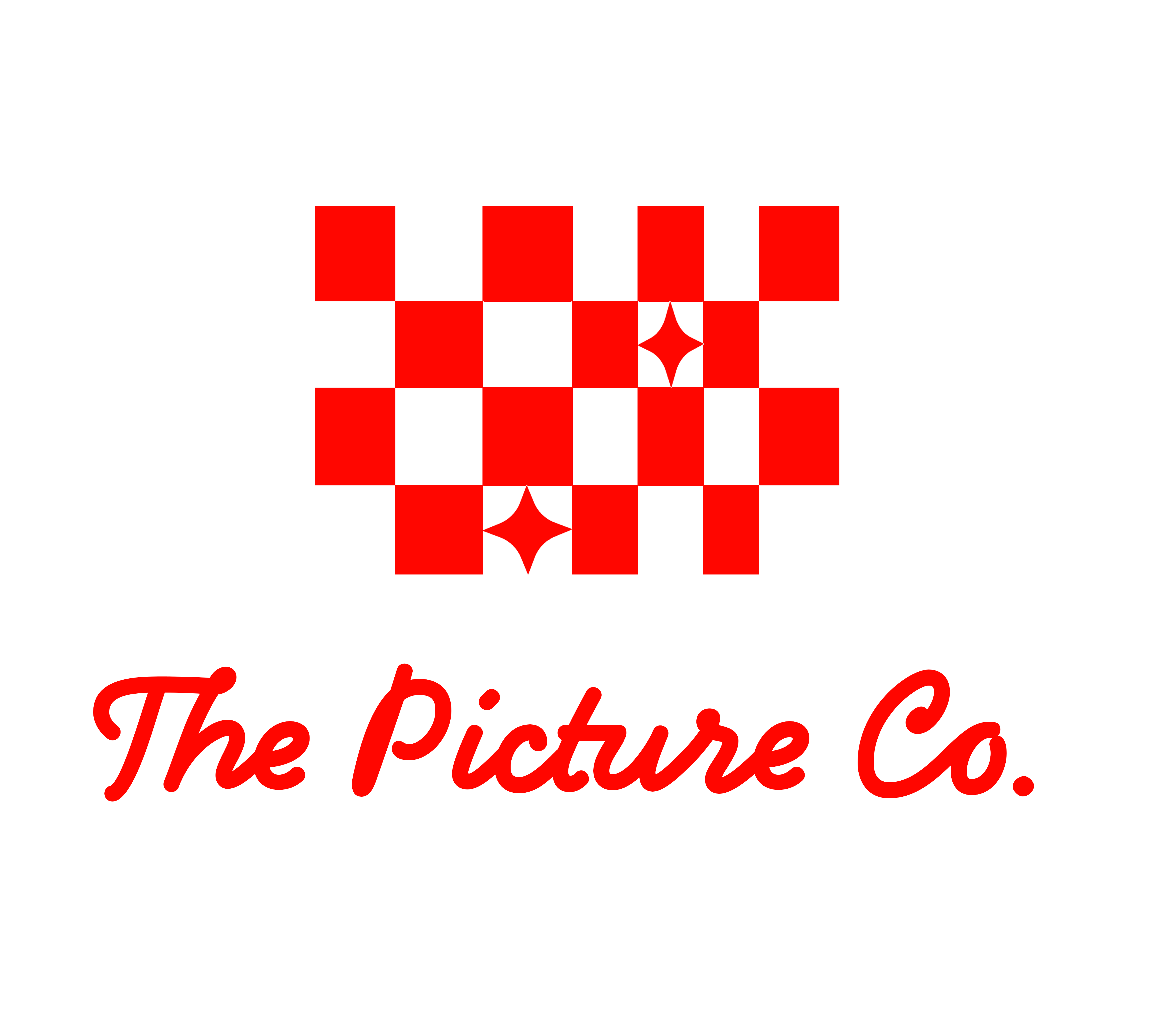 The Picture Company Logo